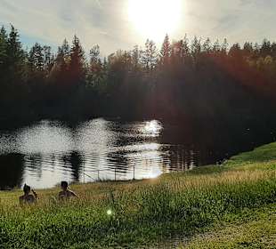Wandern Neureichenau