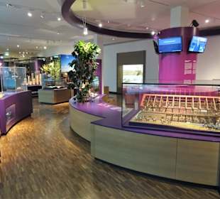 Rundgang durch das Übersee-Museum