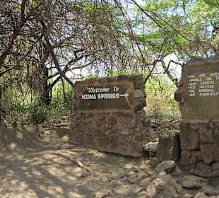 Mzima Springs 