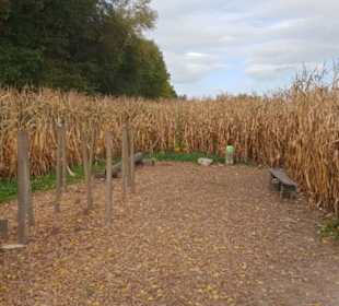 Maislabyrinth Südlohn