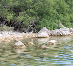 Озеро Курнас 