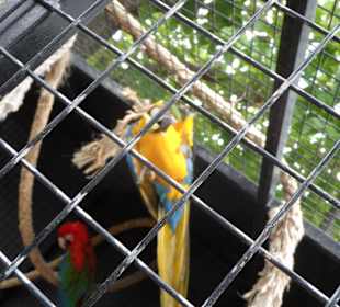 Es gibt auch andere Tiere zu sehen