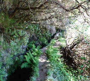 Levada do Lajeado