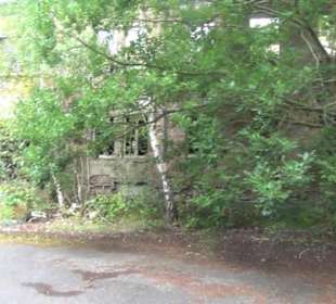 Schlossruine Dwasiden