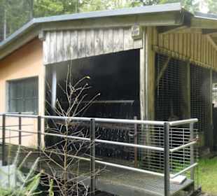 Von Bayerisch Eisenstein nach Ludwigsthal