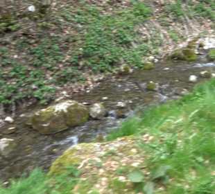 Echazquellen
