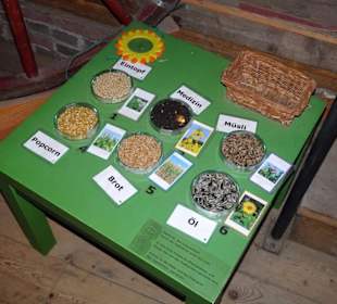Rätseltisch im Landwirtschaftsmuseum