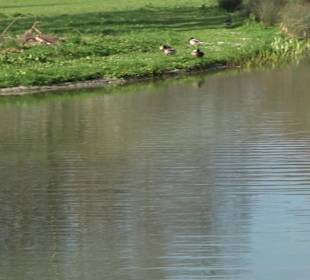Unterer Schlossgarten Stuttgart