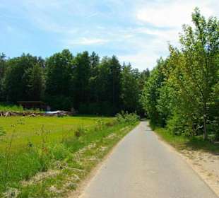 Wanderung zum Bärenfels