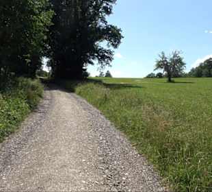 Eduard Lucas Musterobstgarten Mähringen