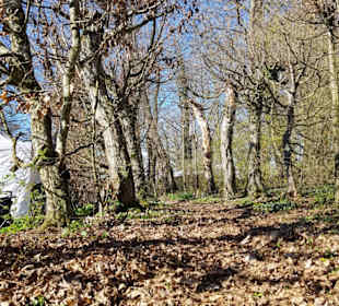 Der Rosengarten Rundweg