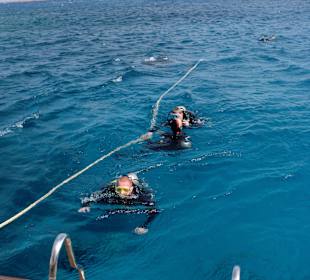 Nach dem Tauchgang...