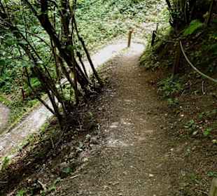 Serpentinen nach oben