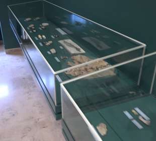 Staatliches Naturkunde Museum