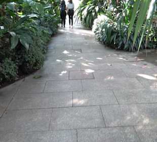 Gewächshäuser Botanischer Garten