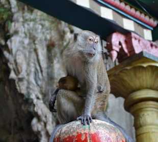 Batu Caves