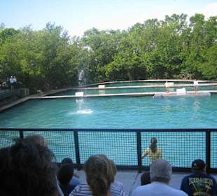 Miami Seaquarium