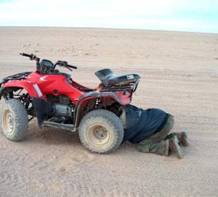 Quadsafari