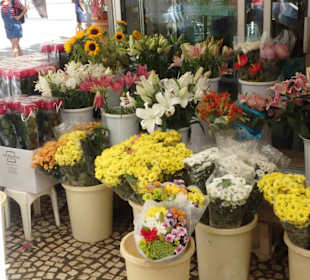 Blumenmarkt in Cadiz