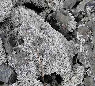 Cumbre Vieja / Lavastrom von San Nicolas