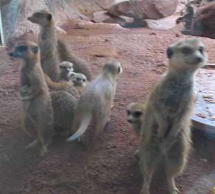 Immer ein Blick wert