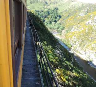 Mitder Taileri Railway durch die Natur Neuseelands