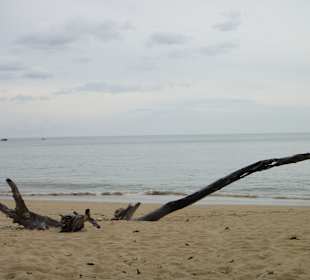 Blick vom Kate's Kitchen aufs Meer