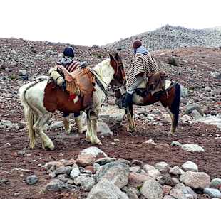 Wandern am Chimborazo