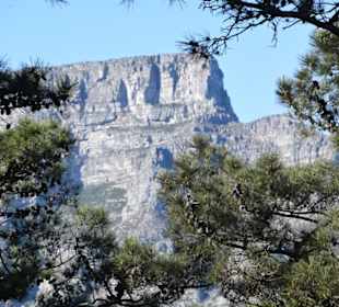Blick auf den Tafelberg