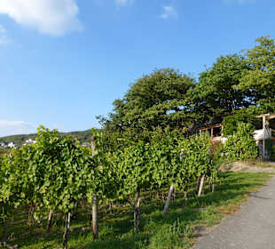 Waldschänke "Zur Eisernen Weinkarte "