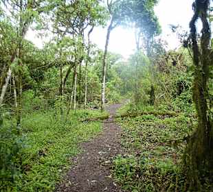 Weg zwischen den 2 Kratern