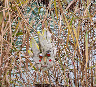 Wandern Unterwössen