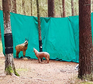 Für die Bogenschützen