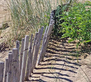 Windverwehungen geschützt
