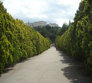 Monte Casino