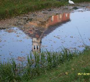 Spiegelung 