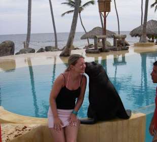 Knutschender Seelöve