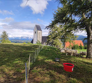 Wandern Oy-Mittelberg