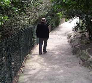 Wanderwege