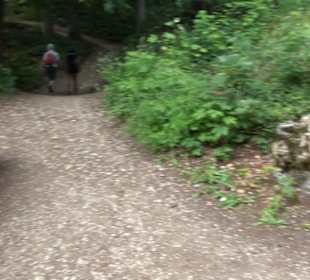 Burg Alt-Lichtenstein