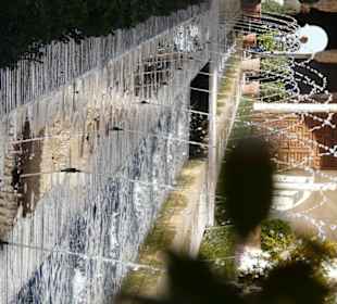 Dettaglio del giardino