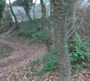 Grünanlage am Himmelsberg