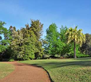 Eindrücke vom Rundgang durch Blandy´s Garden