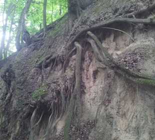 Wąwóz Świętej Królowej Jadwigi