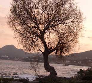 Promenade im Februar