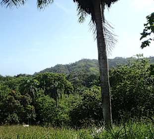 Reitausflug  – Oktober 2014