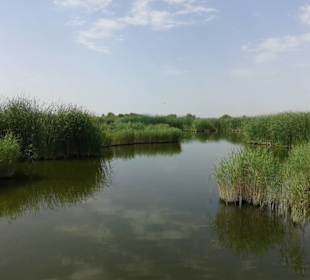 Ojos del Guadiana
