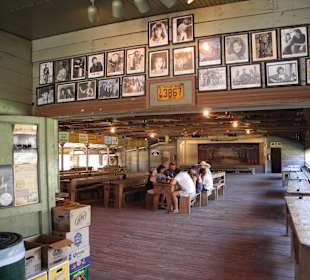 Fotos von Künstlern, die hier waren