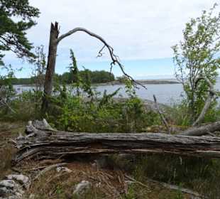 Rundwanderweg Slott Läckö