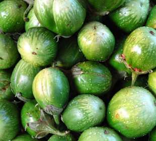 Gemüse